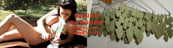 прущий лед Козельск