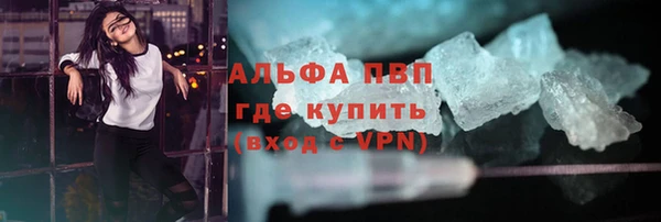 индика Кодинск