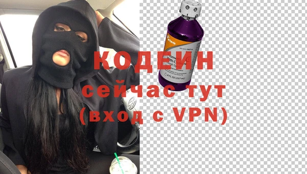 индика Кодинск