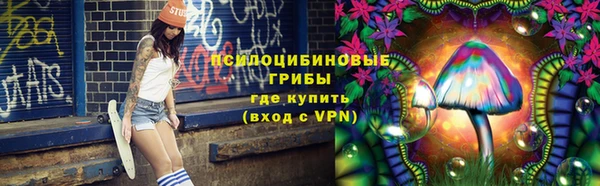 индика Кодинск