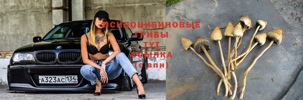 прущий лед Козельск