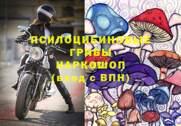 прущий лед Козельск