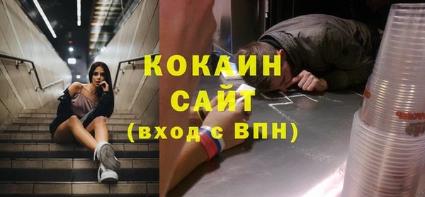 индика Кодинск